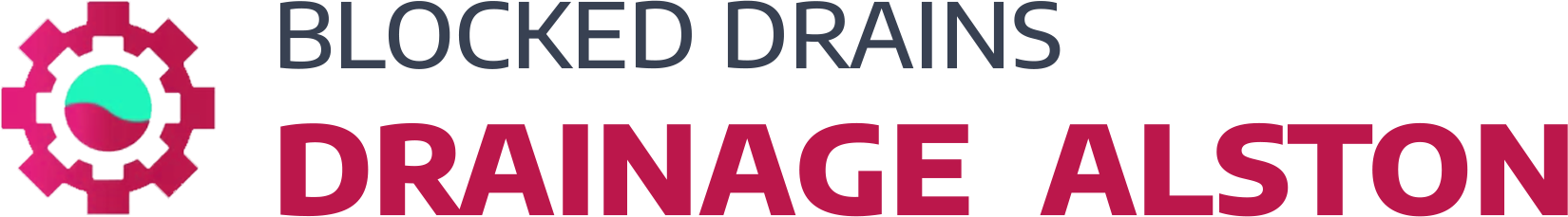 website logo